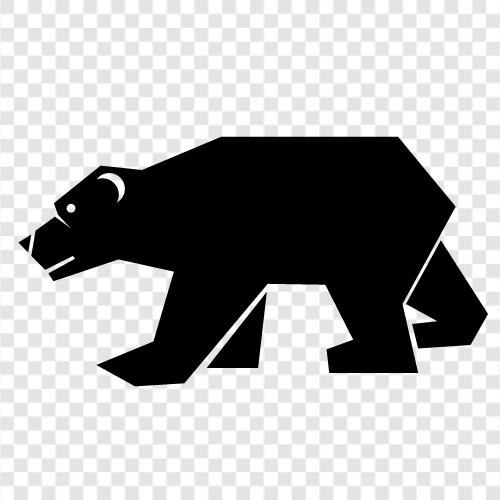 Bear Hunting, Bear Facts, Bear Attacks, Bear icon svg