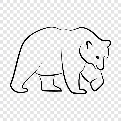 bear, brown bear, black bear, grizzly bear icon svg