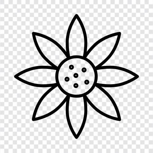 schön, blüte, boutonniere, cors symbol