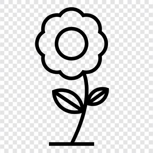 Beautiful, Bloom, Bloomers, Bouquet icon svg