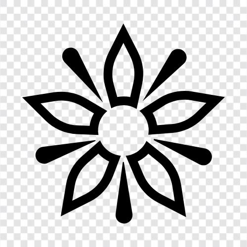 Beautiful, Bloom, Bloomers, Bouquet icon svg