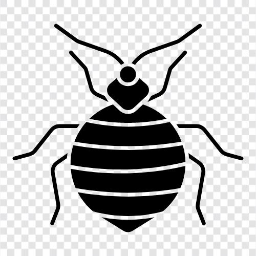 bed bugs, bed bug infestation, bed bug spray, bed bug eggs icon svg