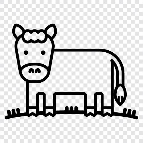 beef, dairy, farming, meat icon svg