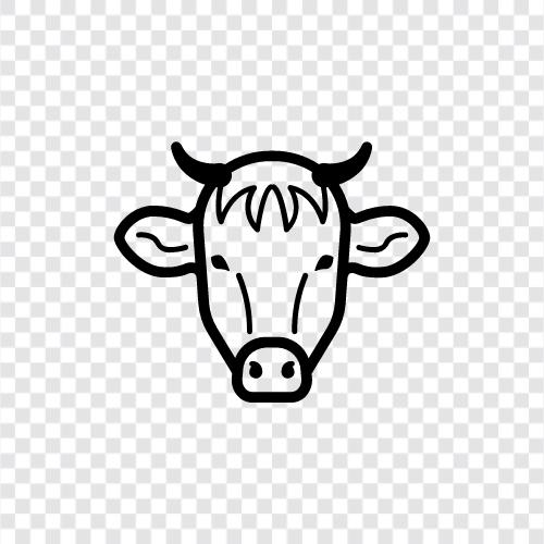 Rindfleisch, Milch, Käse, Landwirtschaft symbol