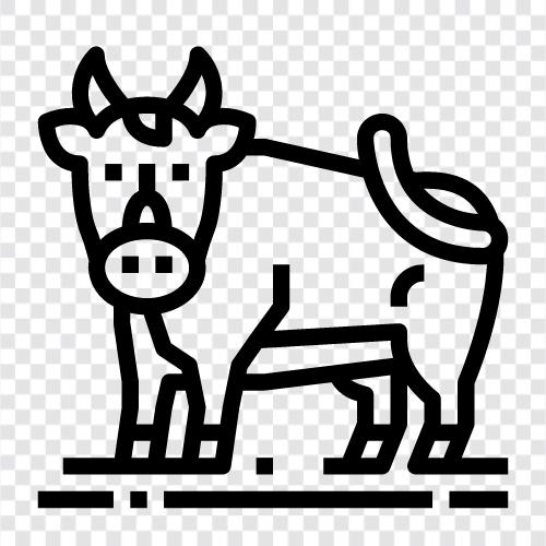 Rindfleisch, Rinder, Landwirtschaft, Tier symbol