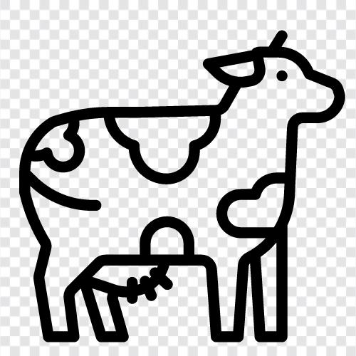 beef, milk, cheese, yogurt icon svg