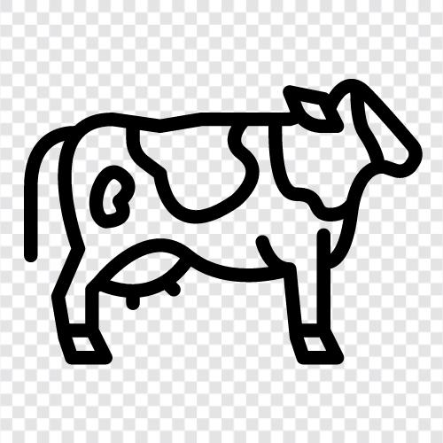 Rindfleisch, Milch, Butter, Käse symbol