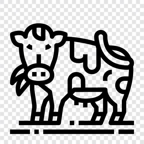 Rindfleisch, Milch, Käse, Joghurt symbol