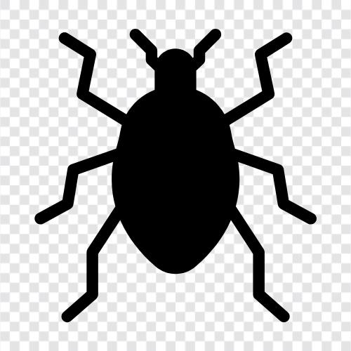 beetle, bug, fly, caterpillar icon svg