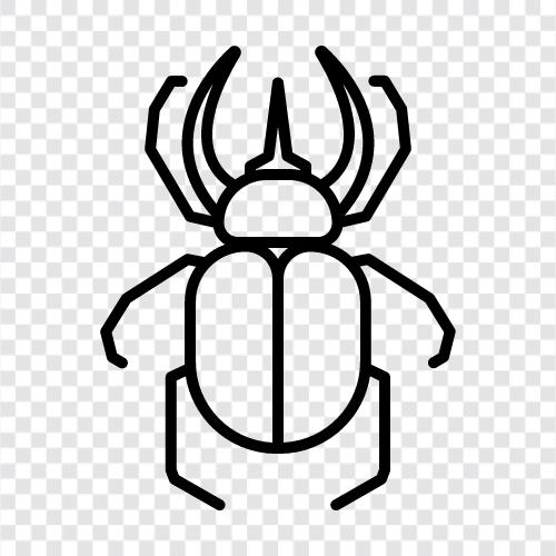 Beetlejuice, Beetle Bailey, BeetleKatze, BeetleMania symbol