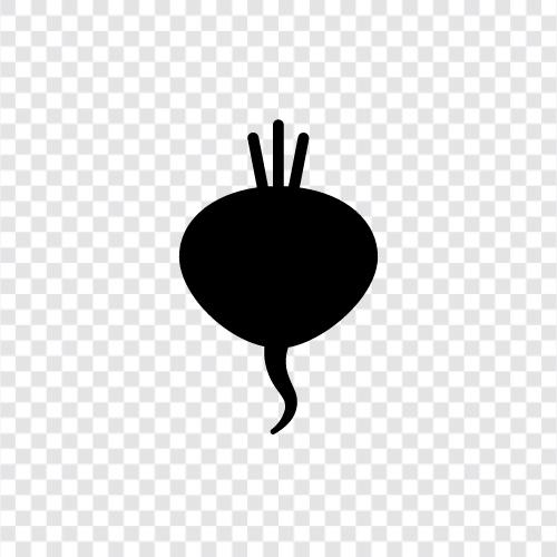 beetroot, beet juice, beet greens, beetroot greens icon svg