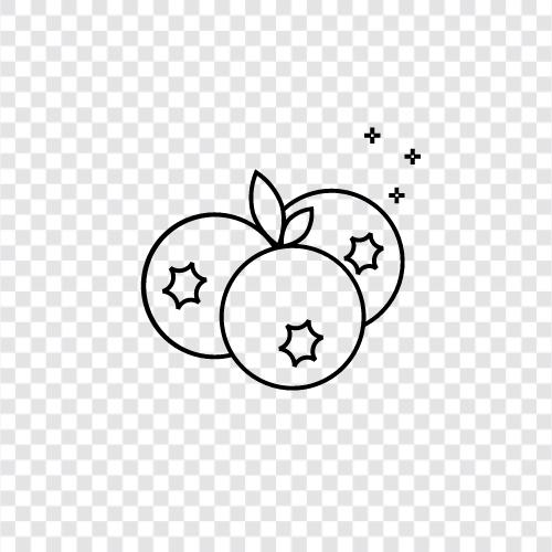 berry, sweet, tart, healthy icon svg