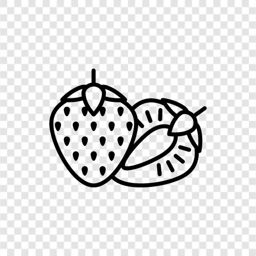 Beeren, Obst, Geschmack, süß symbol