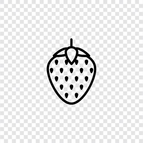 berry, fruit, flavor, sweet icon svg