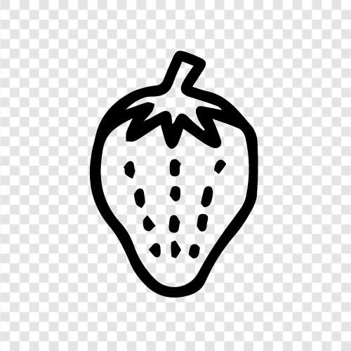 berry, fruit, produce, fresh icon svg