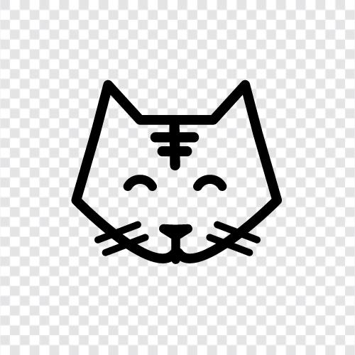 big cat, big cat facts, big cat pictures, big cat videos icon svg