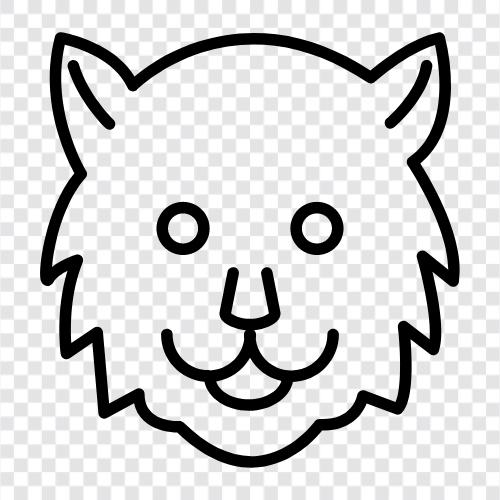 große katze, katze, feline, dschungel symbol