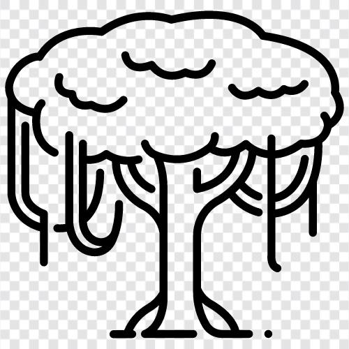 big trees, tall trees, big oaks, big maples icon svg