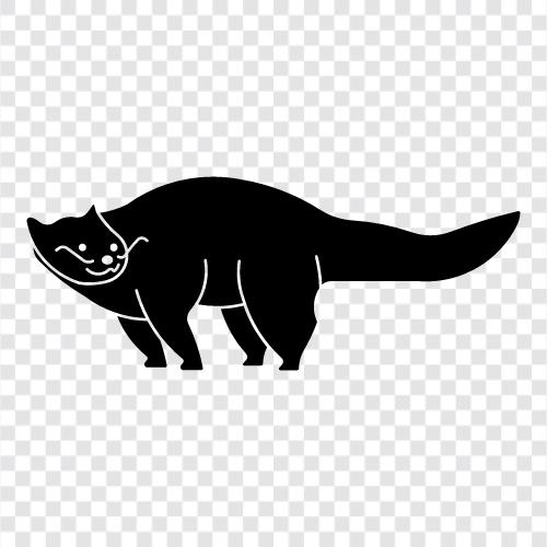 binturong gerçekler, binturong koruma, binturong ikon svg