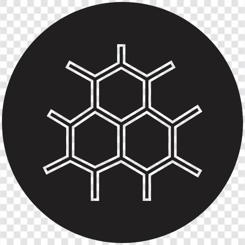 Biology, Genetics, Mitosis, Meiosis icon svg