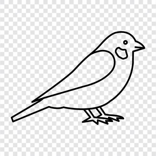 Bird icon