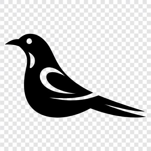 bird watching, bird identification, bird behavior, bird migration icon svg