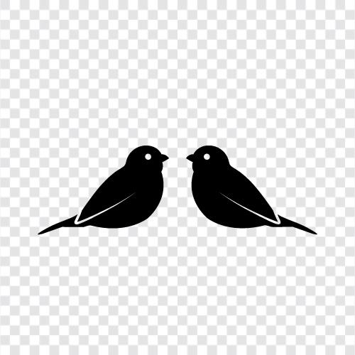 birdhouse, birdfeeder, birds, birder icon svg