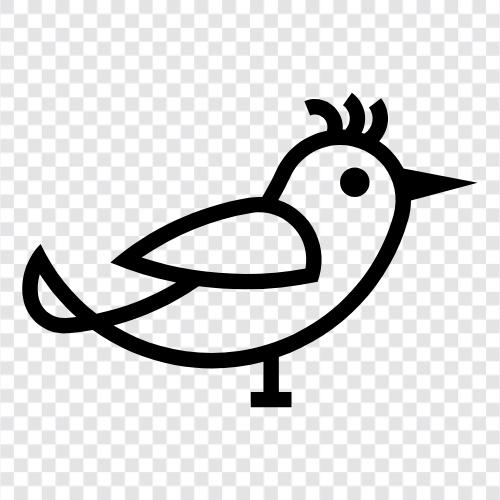 birds, pet, singing, cages icon svg