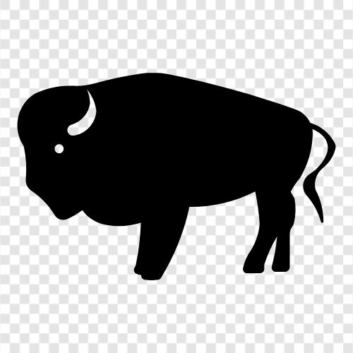 bison, buffalo, conservation, endangered icon svg