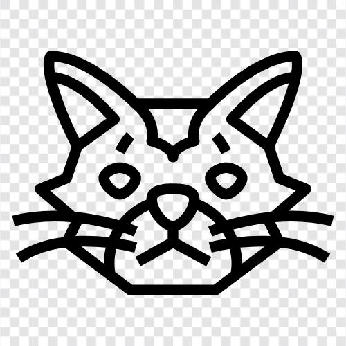 schwarzweiße Katze, Kurzhaar, lange Haare, Hauskatze symbol