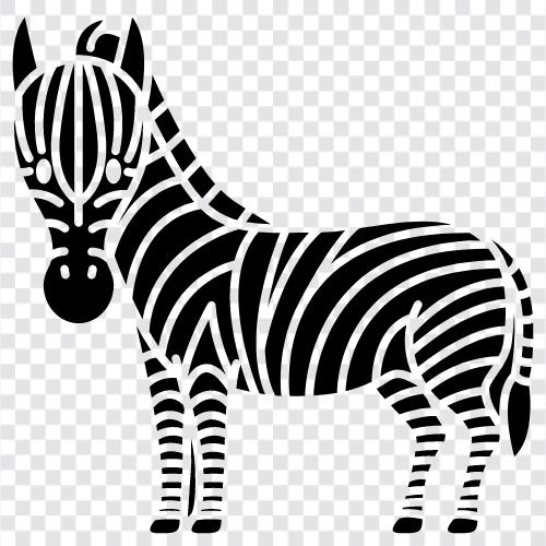 black and white, stripes, animals, Zebra icon svg