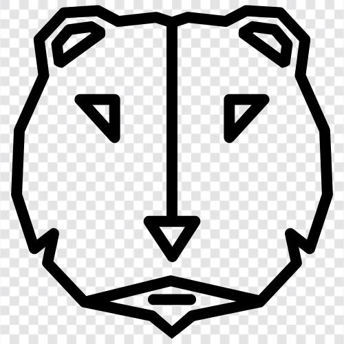 black bear, brown bear, grizzly bear, polar bear icon svg