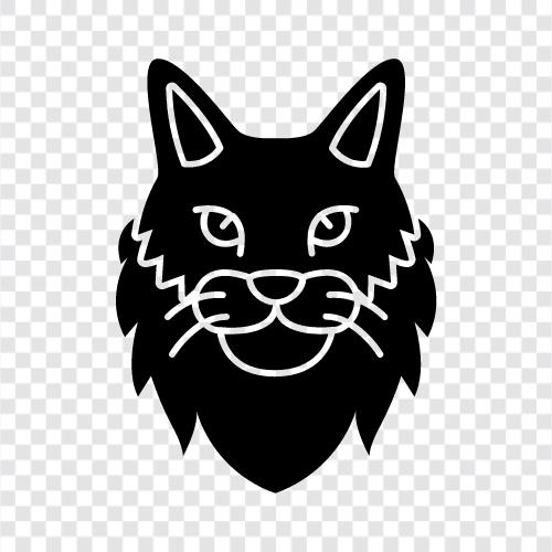 black cat, black cat black, black cat pictures, black cat videos icon svg