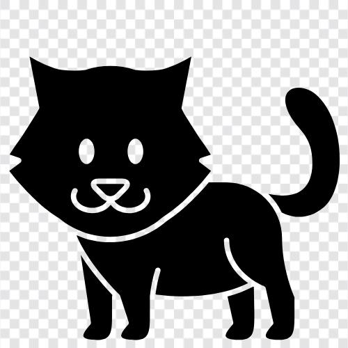 black cat, white cat, ginger cat, tabby cat icon svg