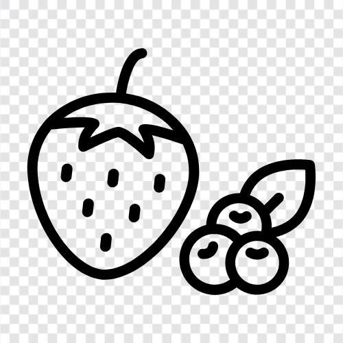 blackberries, blueberries, cranberries, strawberries icon svg