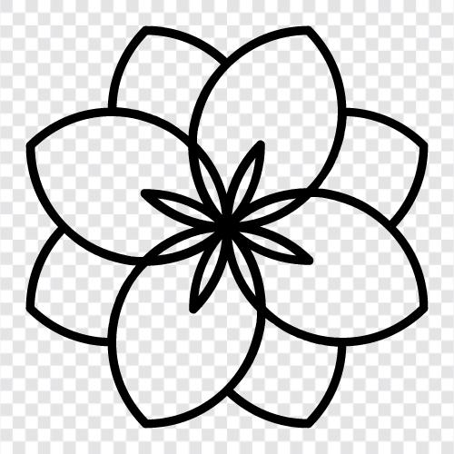 Bloom, Blossom, Bloomer, Garden icon svg