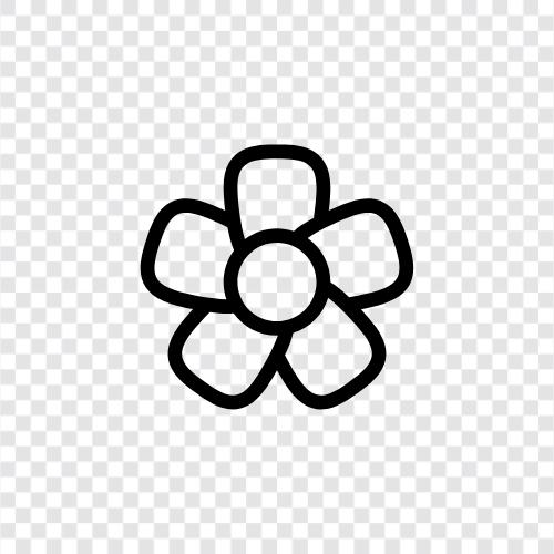 bloom, petal, stem, color icon svg