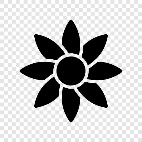 Blüte, Blume symbol