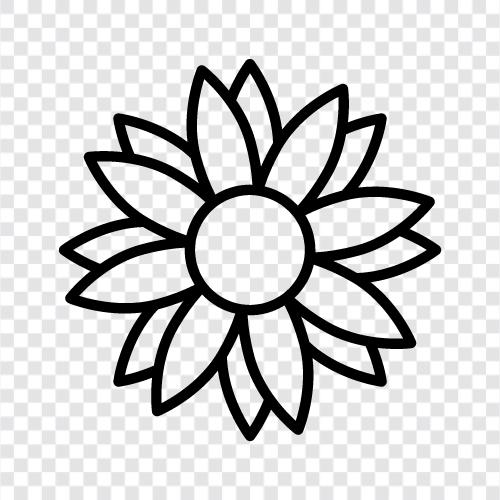 Bloom, Plant, Gardening, Color icon svg