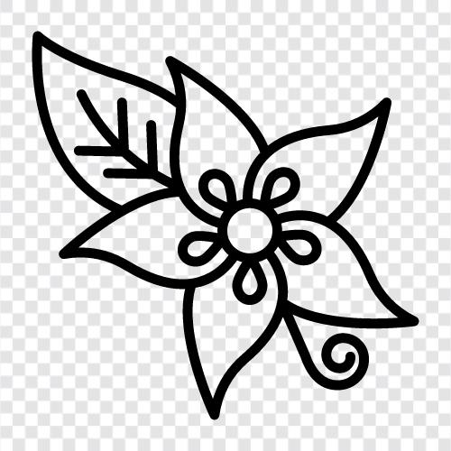 Blüte, Blumen symbol