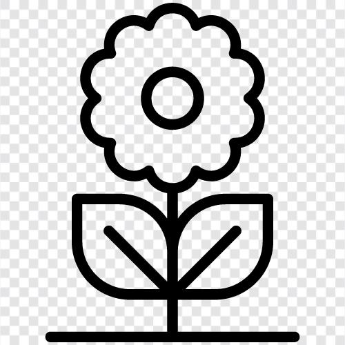 Bloom, Bloomer, Blooming, Floral icon svg