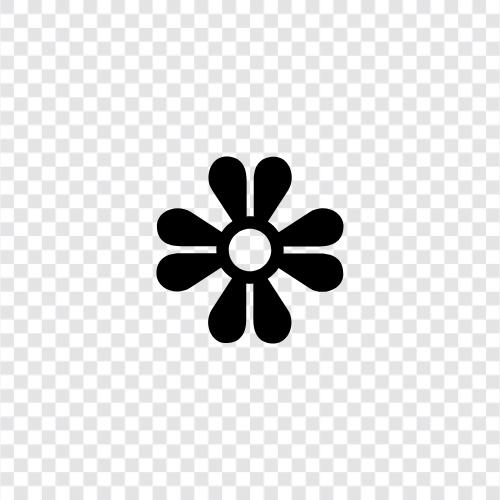 Bloom, Bloomer, Blooms, Bloom Time icon svg