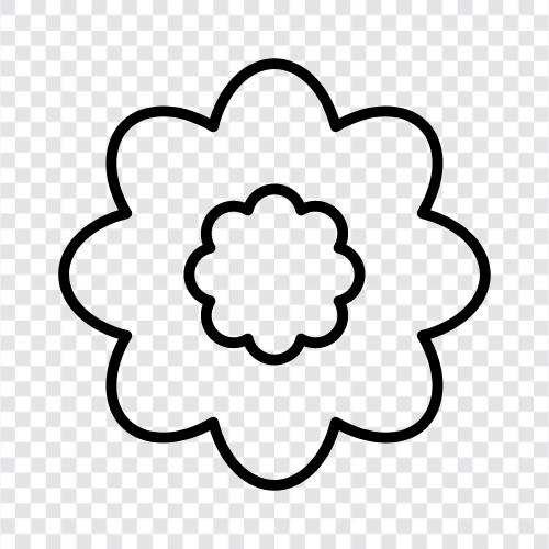 bloom, blossom, petal, stem icon svg