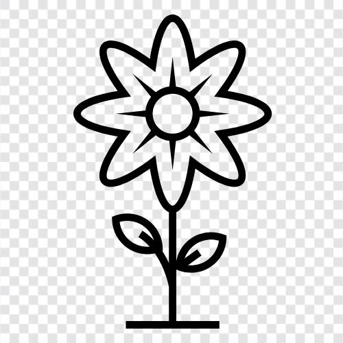 bloom, blossom, petal, leaves icon svg