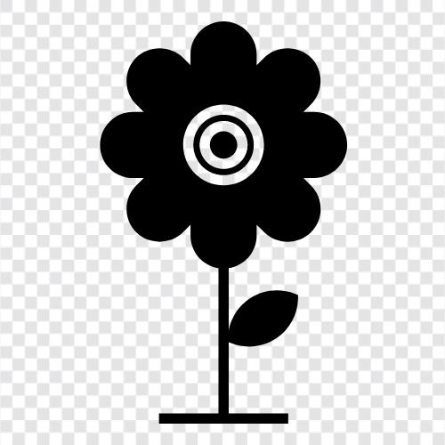 Bloom, Bloomer, Bloomers, Blooms icon svg