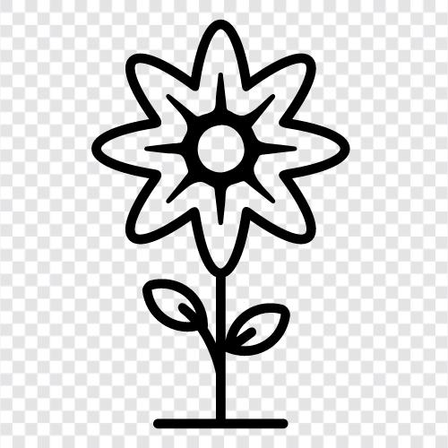 Bloom, Bloomer, Bloomery, Bloomer s icon svg