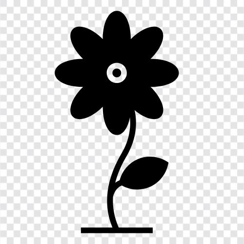 Bloom, Bloomers, Garden, Gardening icon svg