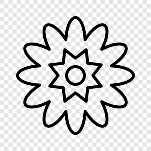 Bloom, Petal, Blossoms, Bouquet icon svg