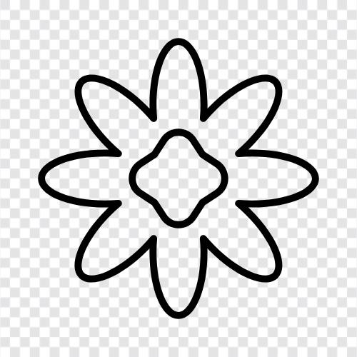 Bloom, Plant, Garden, Flower icon svg