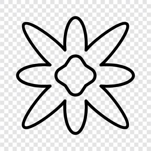 Blüte, Blütezeit symbol